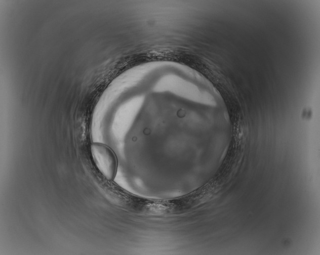 X0000114700703200911181317