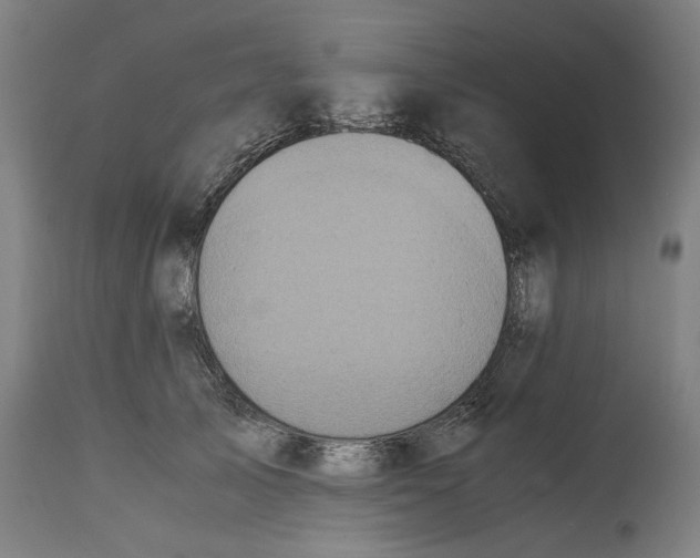 X0000114700705200911181317