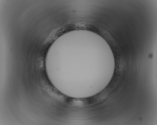 X0000114700706200911181317