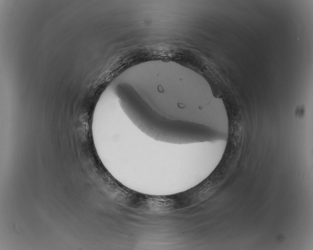 X0000114700707200911181317