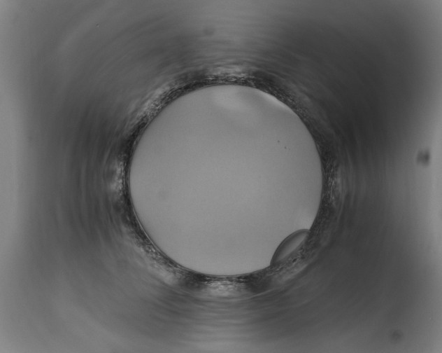 X0000114700708200911181317