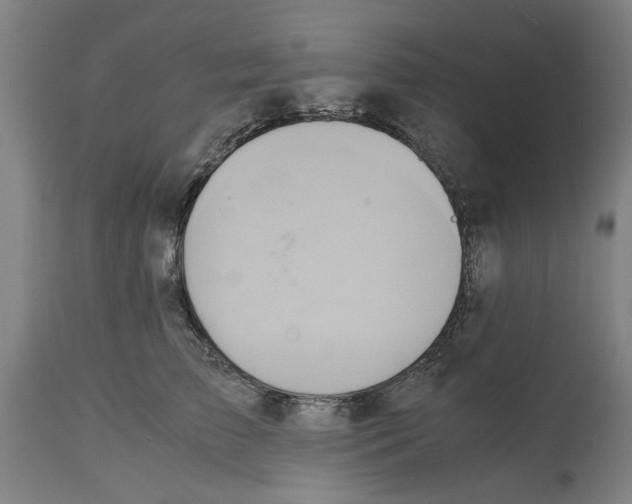 X0000114700709200911181317