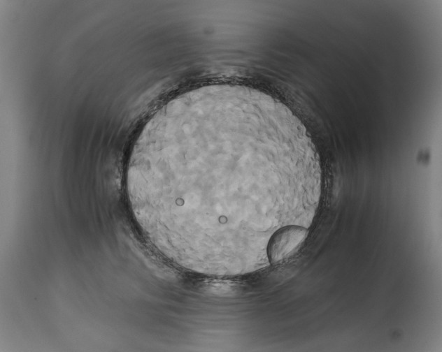 X0000114700710200911181317