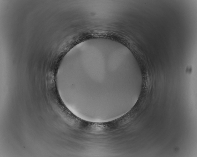 X0000114700711200911181317