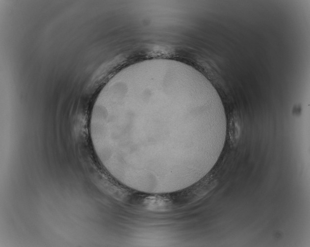 X0000114700714200911181317