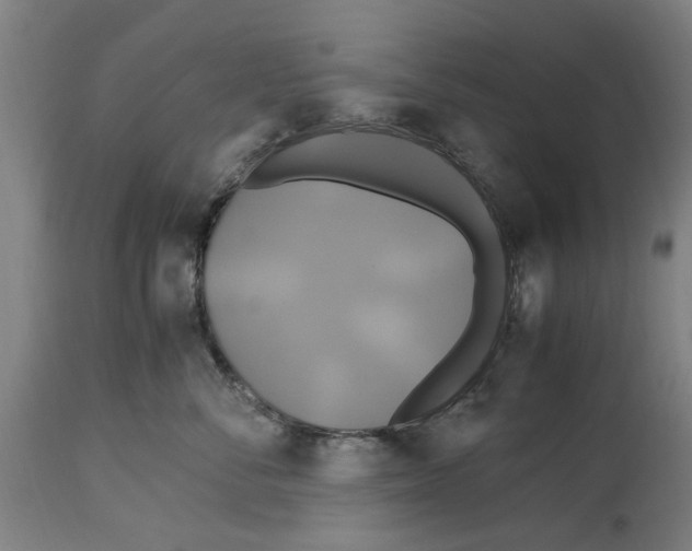 X0000114700716200911181317