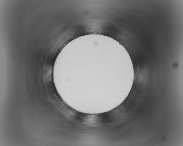 X0000114700717200911181317