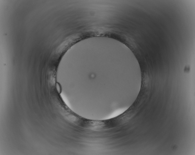 X0000114700719200911181317