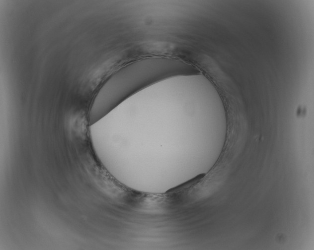 X0000114700720200911181316