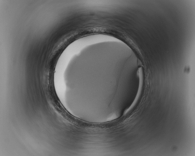 X0000114700722200911181316