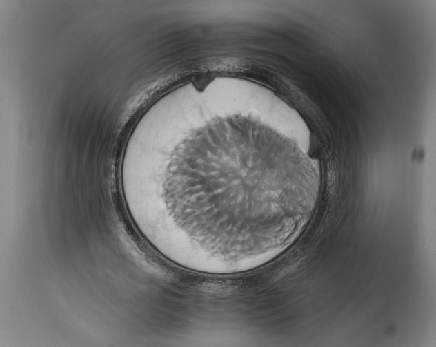 X0000114700725200911181316