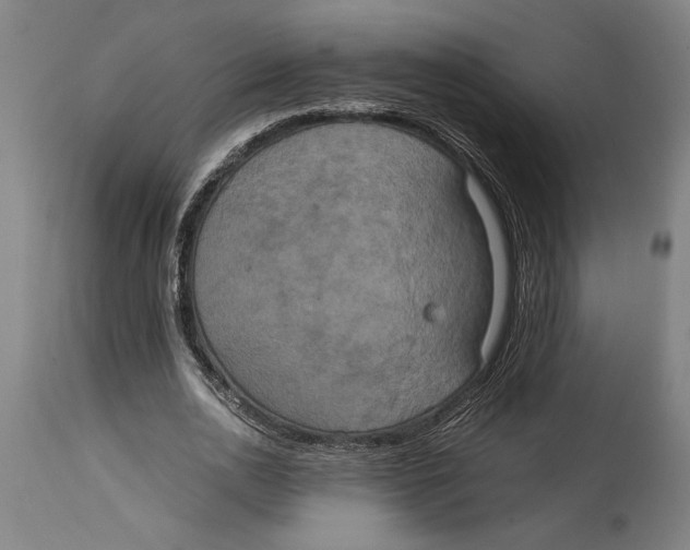 X0000114700726200911181316