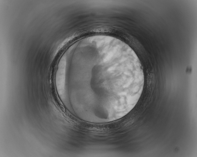 X0000114700727200911181316