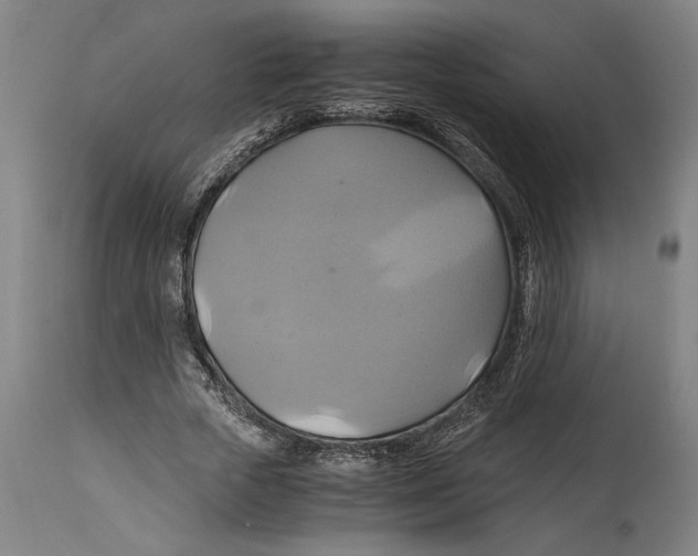 X0000114700729200911181316