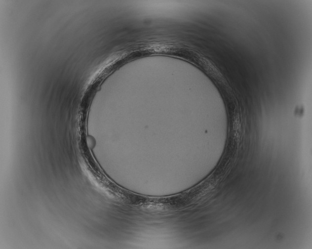 X0000114700730200911181316