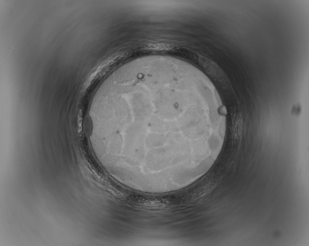 X0000114700731200911181316