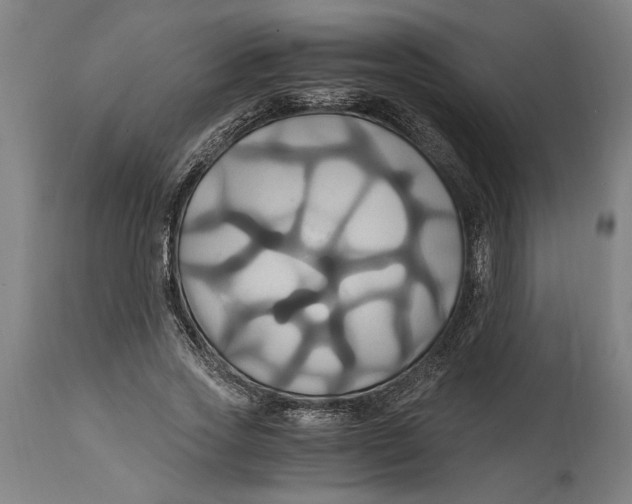 X0000114700733200911181316