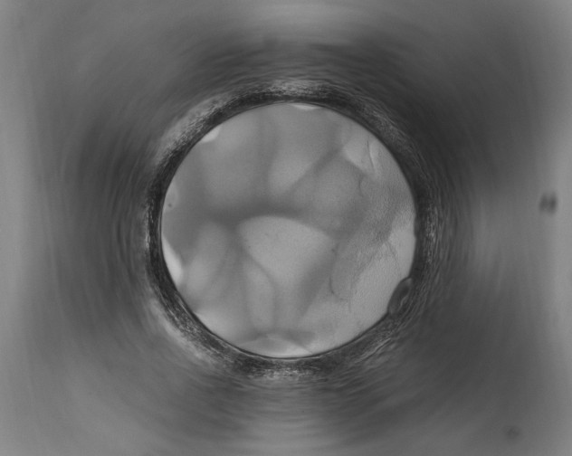 X0000114700734200911181316