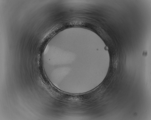 X0000114700735200911181316