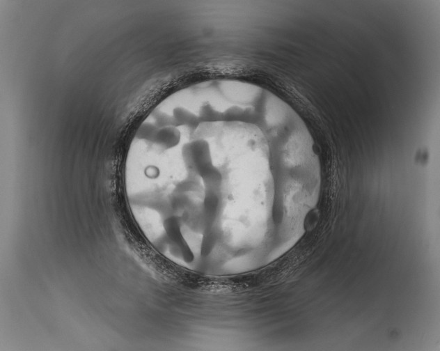 X0000114700738200911181316