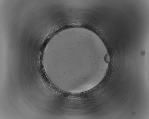 X0000114700739200911181316