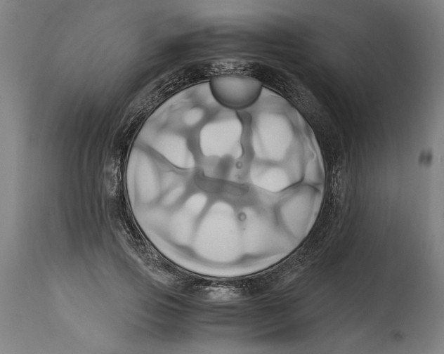 X0000114700741200911181316