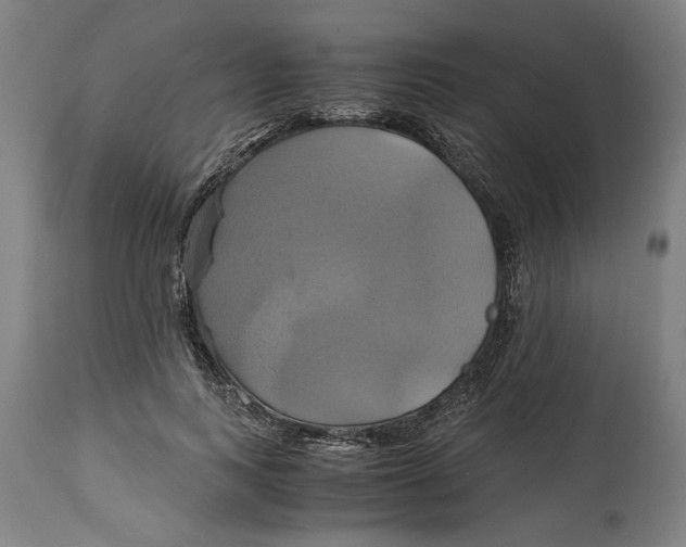 X0000114700743200911181316