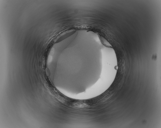 X0000114700747200911181316