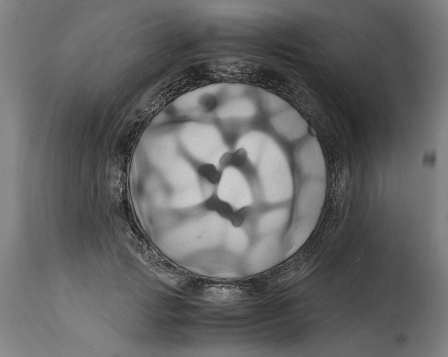 X0000114700749200911181316