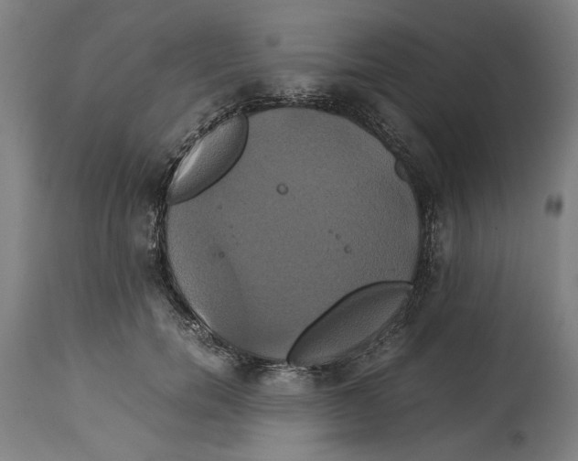 X0000114700750200911181316