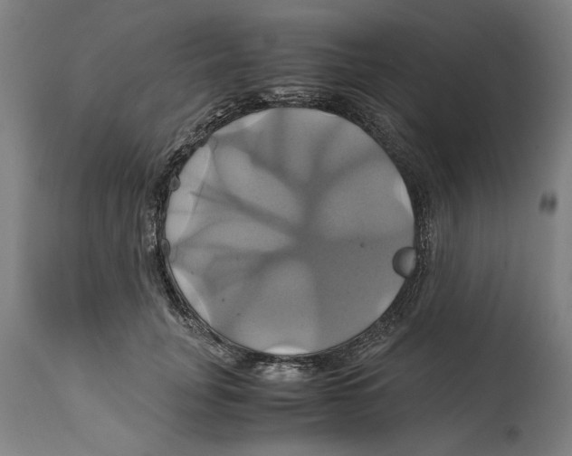 X0000114700751200911181316