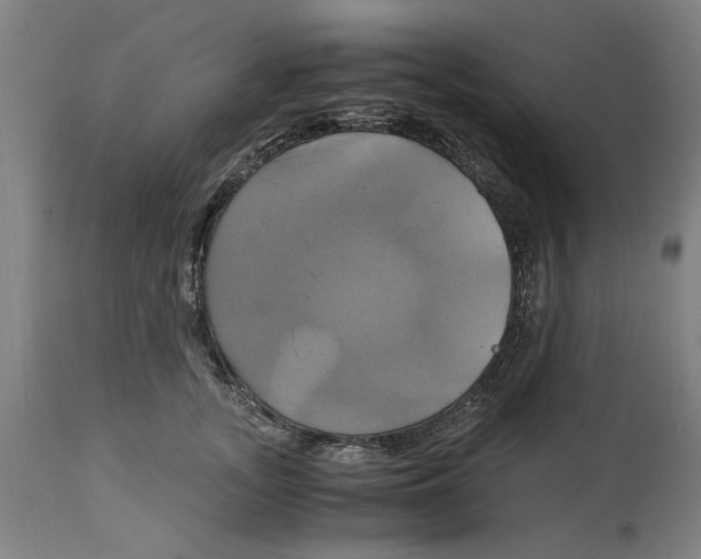 X0000114700755200911181316