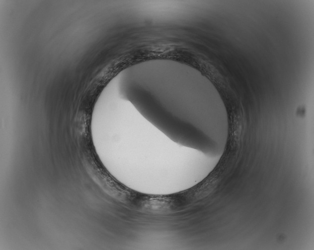 X0000114700758200911181316