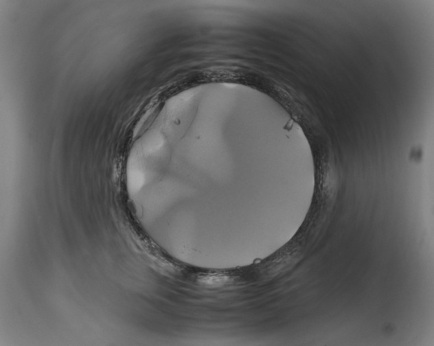 X0000114700759200911181316