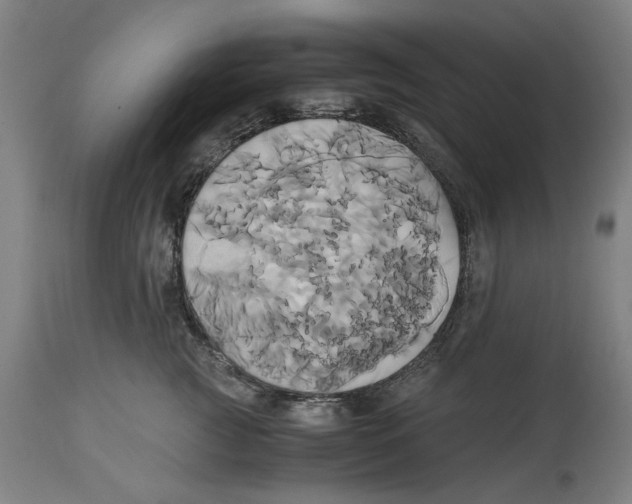 X0000114700761200911181316