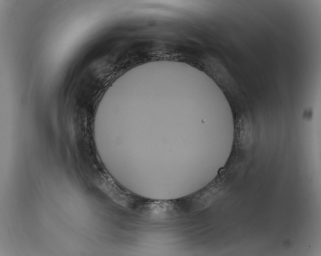 X0000114700762200911181316