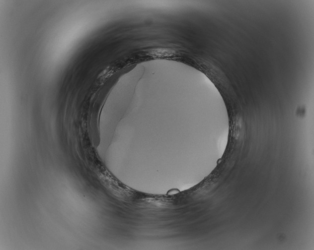 X0000114700763200911181316