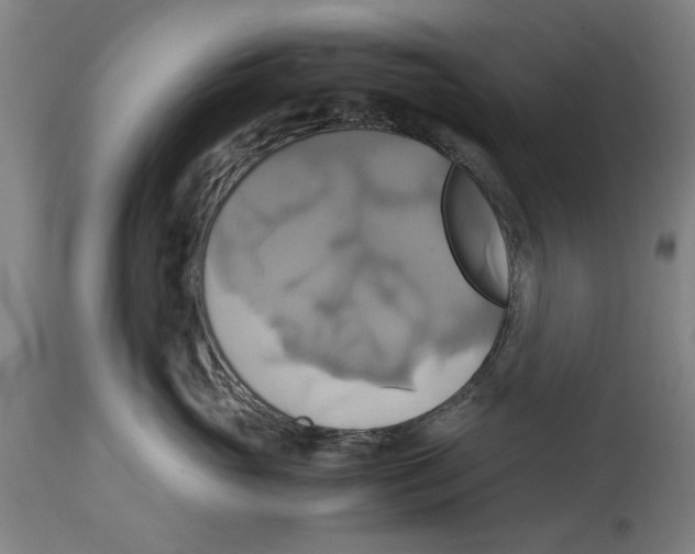 X0000114700765200911181316