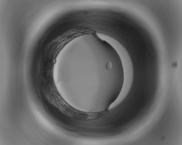 X0000114700766200911181316