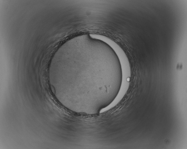 X0000114700769200911181316