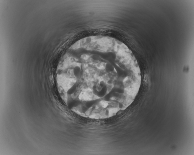 X0000114700771200911181316