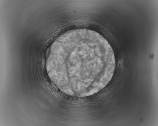 X0000114700772200911181316