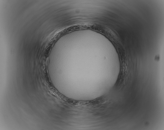 X0000114700773200911181316