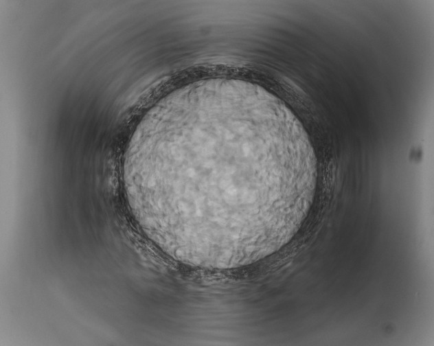 X0000114700774200911181316