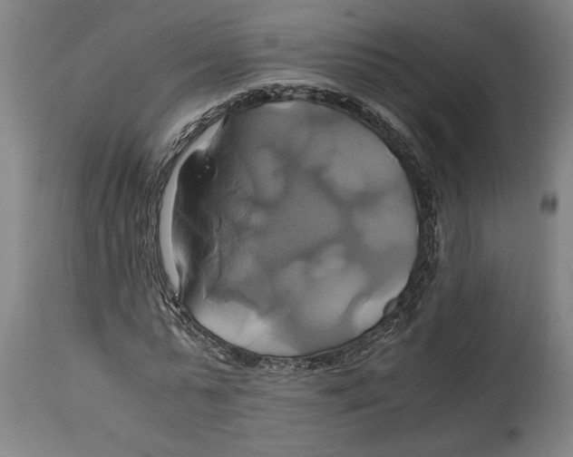 X0000114700775200911181316