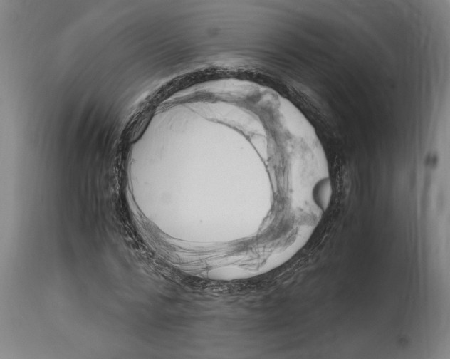 X0000114700776200911181316