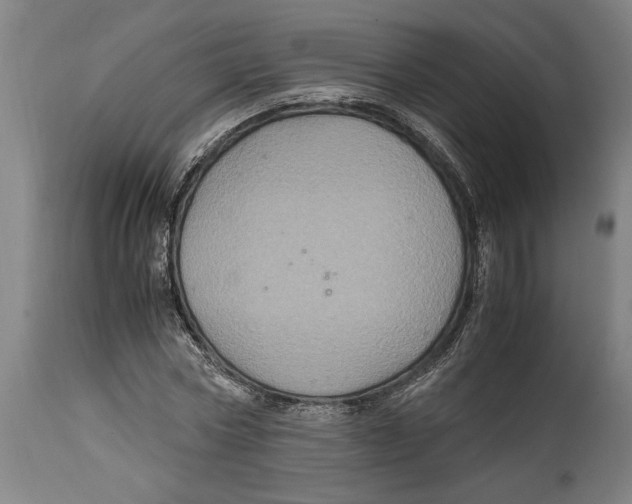 X0000114700778200911181316