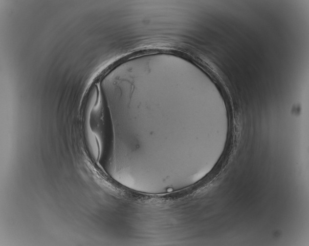 X0000114700779200911181316