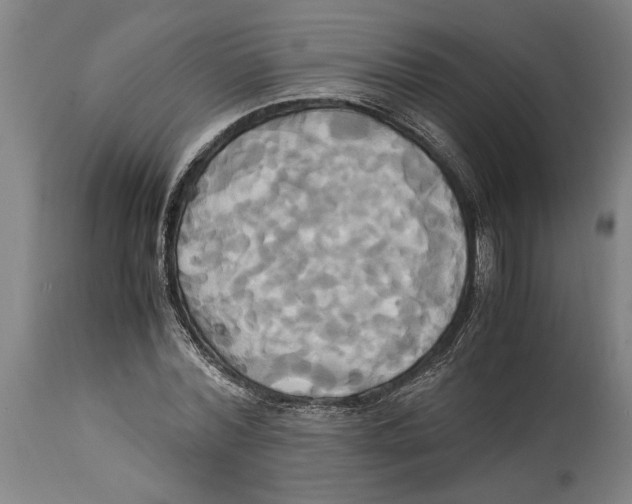 X0000114700780200911181316