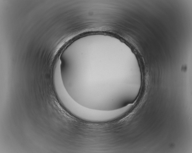 X0000114700781200911181316